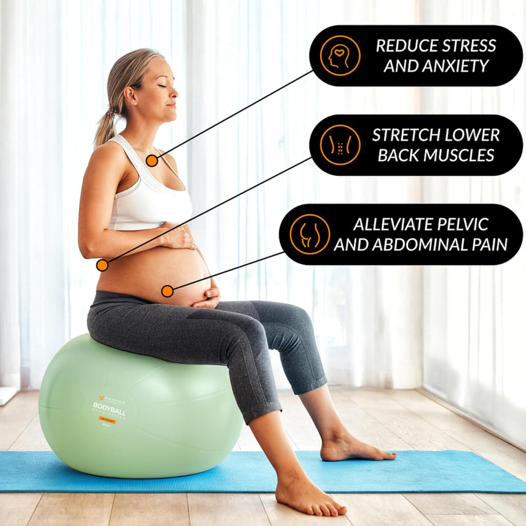 Professional Exercise Ball for Pilates, Fitness, and Pregnancy - Stability, Core, Balance, and Therapy Aid for Rehabilitation and Home Gym Use, Includes Fast Pump